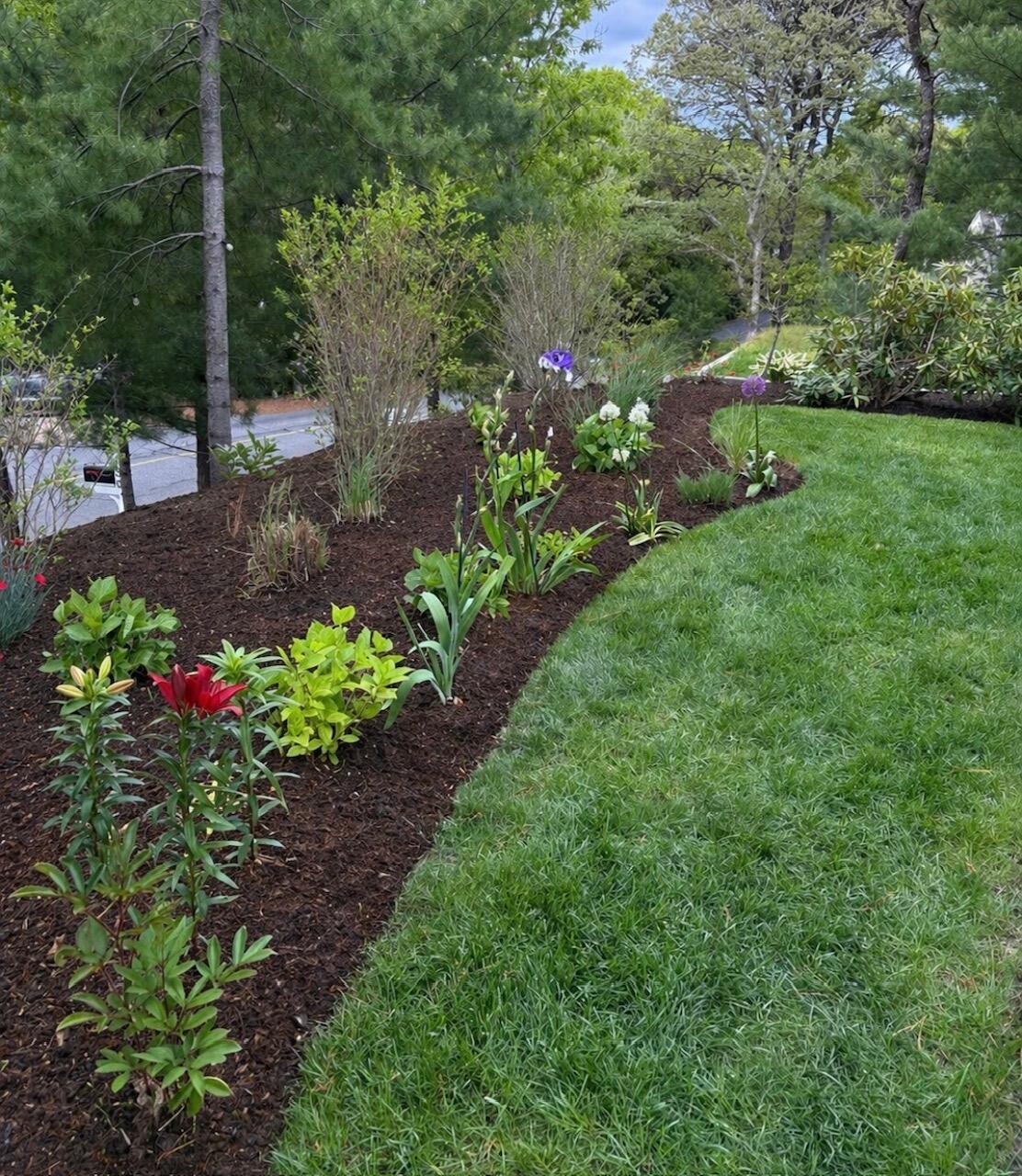 55 Summersea Road Mashpee, MA 02649 - Photo 59 of 74 55 Summersea yard photos (5)