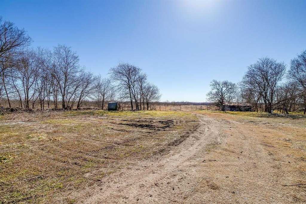 Tbd Ivy Lane Elm Mott, TX 76640 - Photo 17 of 18 a view of yard with trees