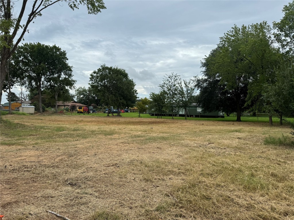a view of a field with trees in the background