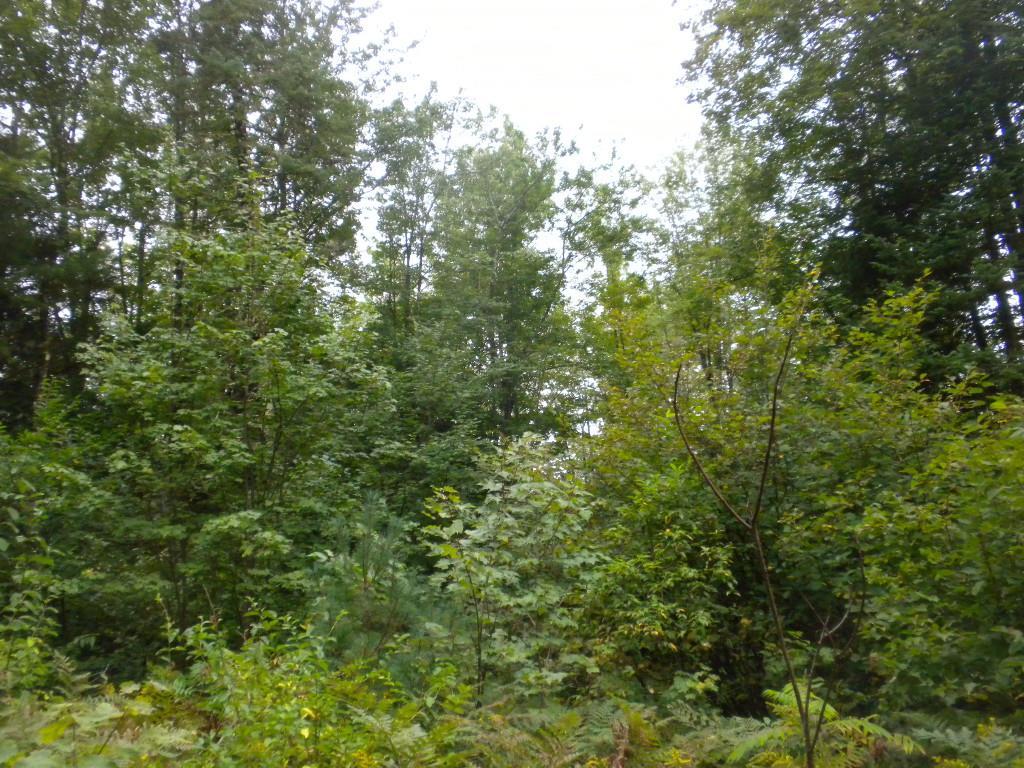 7 River Road Limington, ME 04049 - Photo 10 of 26 Photo