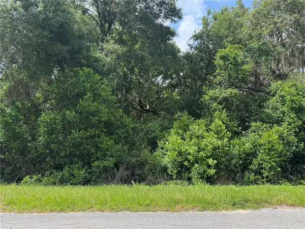 a view of a yard