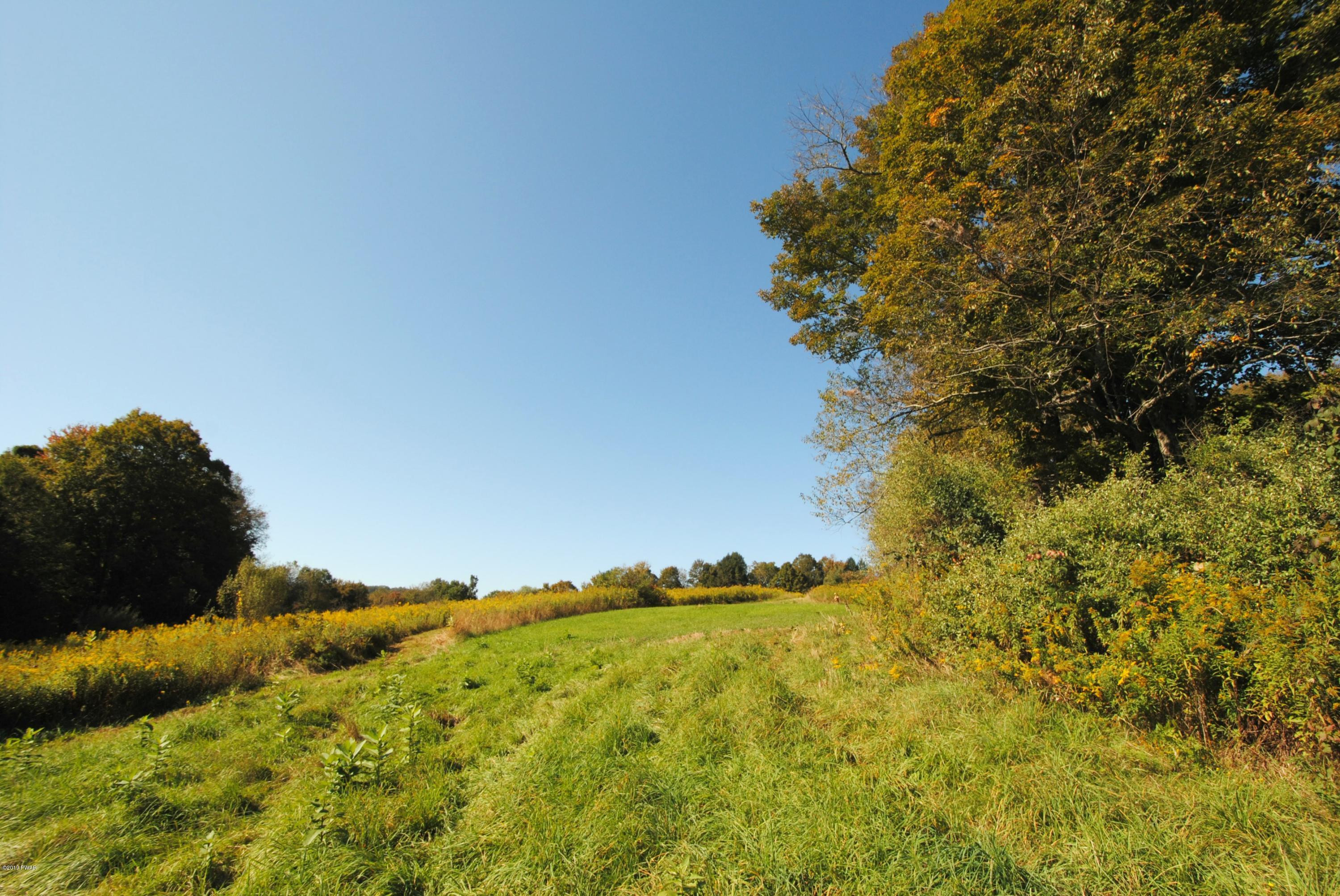 Niles Pond Road Honesdale, PA 18431 - Photo 10 of 10