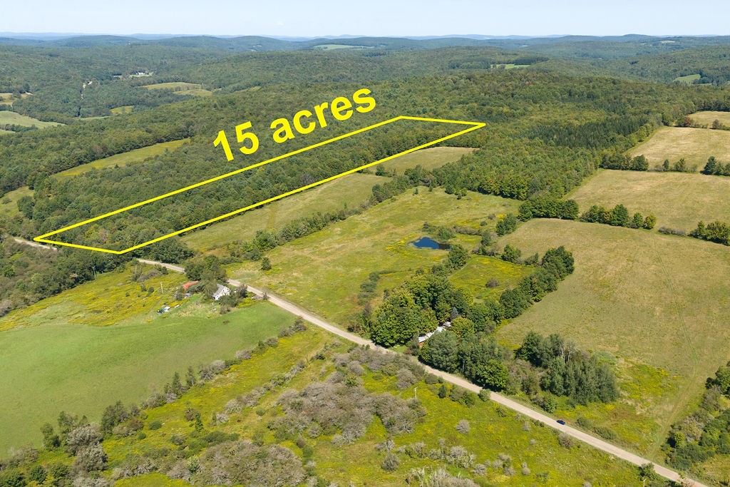 Lot 3 Warren Road Treadwell, NY 13846 - Photo 6 of 7