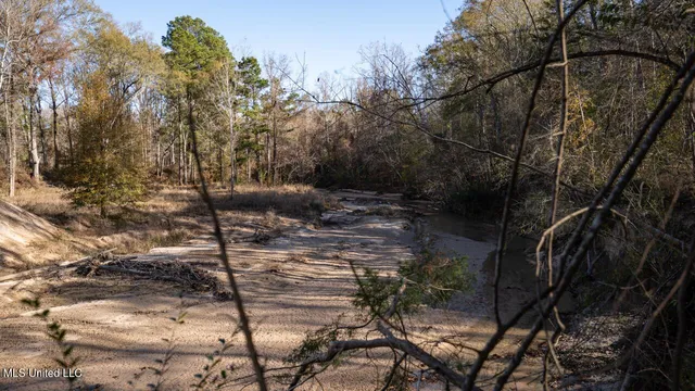 $465,000 | 10787 Old Highway 24 Lane West, Woodville, MS 39669