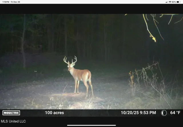 $465,000 | 10787 Old Highway 24 Lane West, Woodville, MS 39669