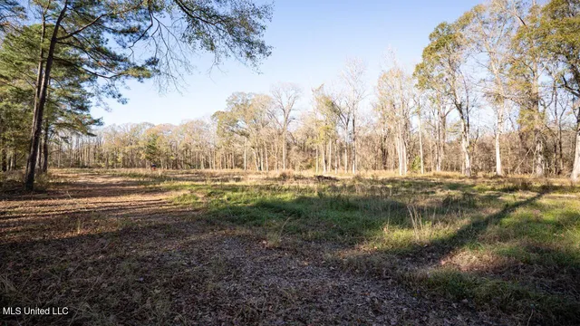 $465,000 | 10787 Old Highway 24 Lane West, Woodville, MS 39669