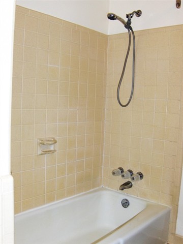 457 Miller Avenue Rochester, MI 48307 - Photo 17 of 26 Main Bath