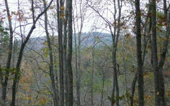 9.5-ac Berean Church Road Ellijay, GA 30540 - Photo 1 of 1 Main View
