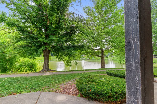 a view of a yard in front of a house with a large tree