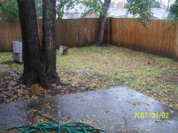 141 Jasmine Street Atlantic Beach, FL 32233 - Photo 20 of 23 a view of backyard with tree