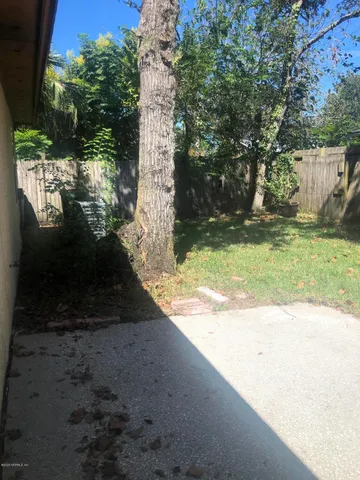 a view of a yard with plants and trees