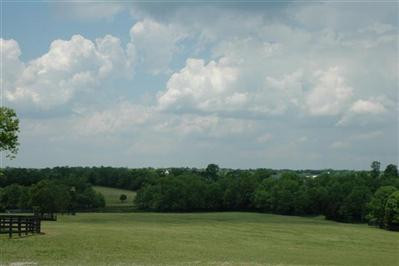 0 Kidds Mill Road Versailles, KY 40383 - Photo 4 of 29 Photo 4