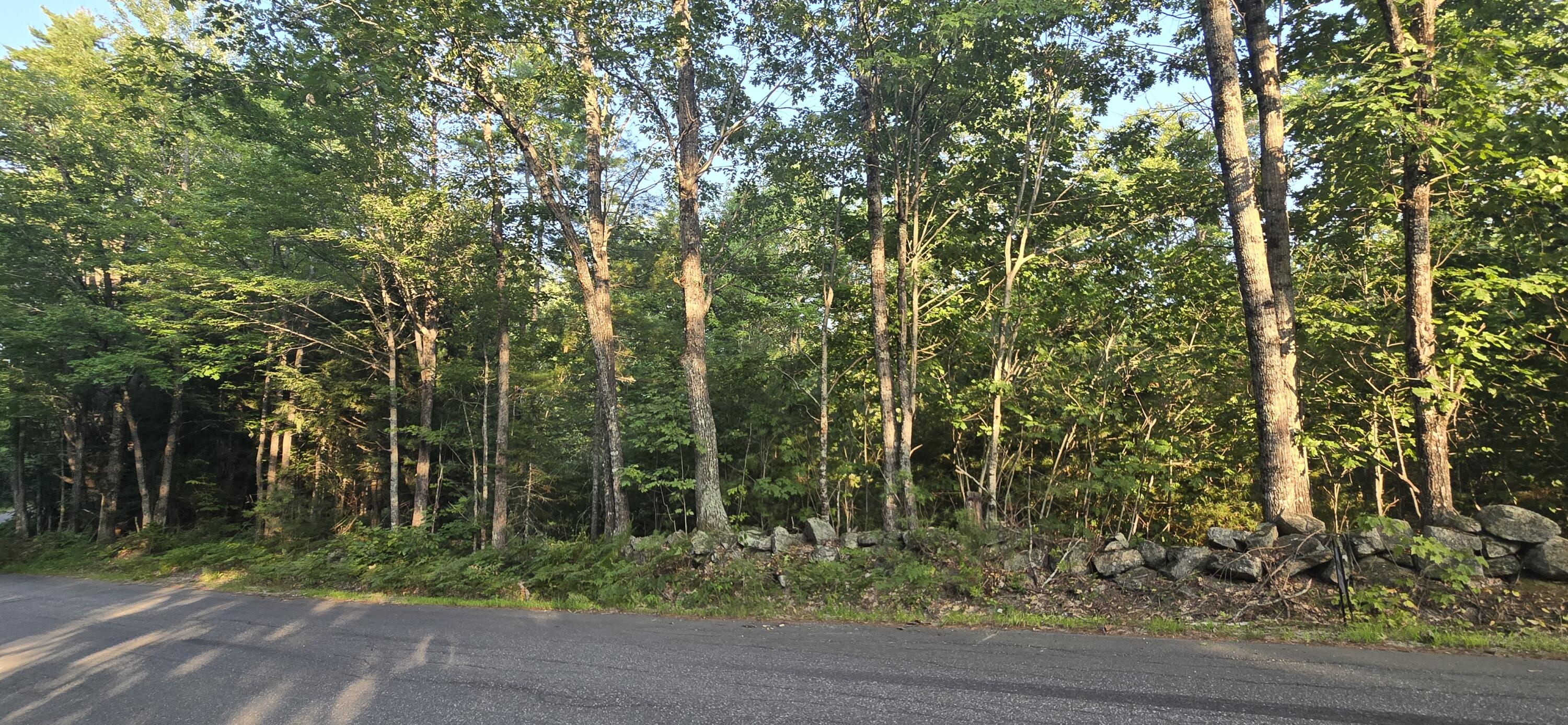 Lot 1 Whitney Road Bridgton, ME 04009 - Photo 3 of 3 20250811_182016