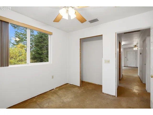 a view of a yard with trees