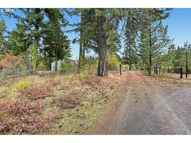 a view of a roof deck with a tree