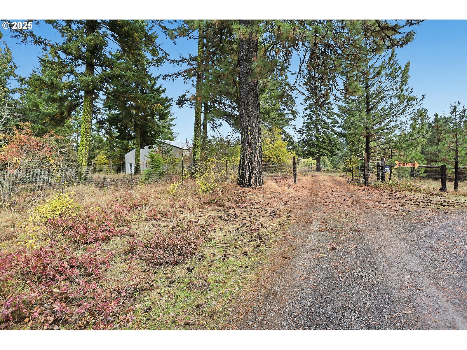 7 Corey Lane White Salmon, WA 98672 - Photo 24 of 45