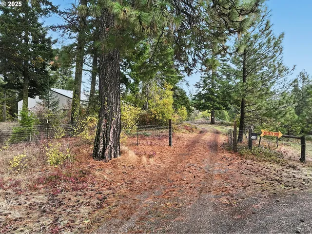 a view of a yard with plants