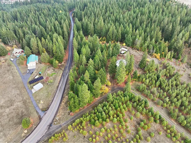 a view of a garden with plants