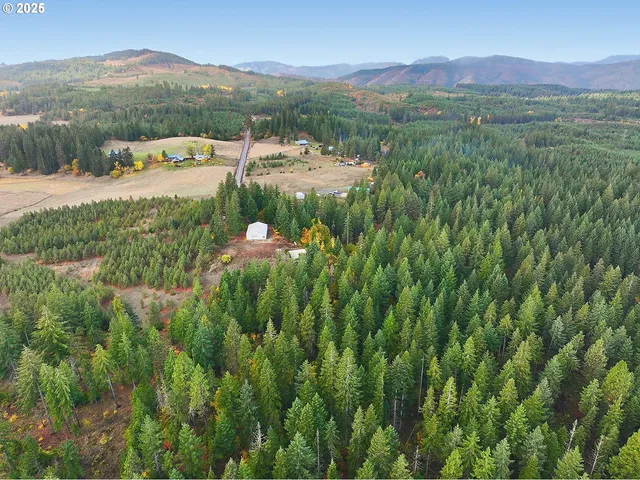 a view of a lush green outdoor space with a lake view and mountain view