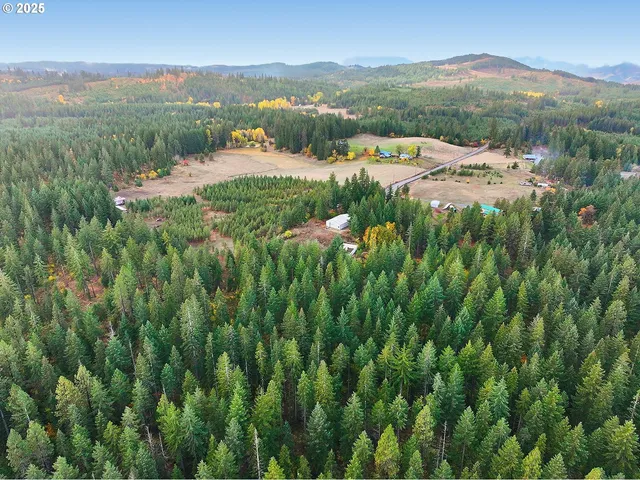 a view of a yard with plants