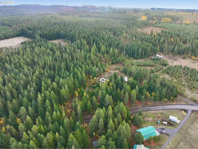 a view of a backyard with plants