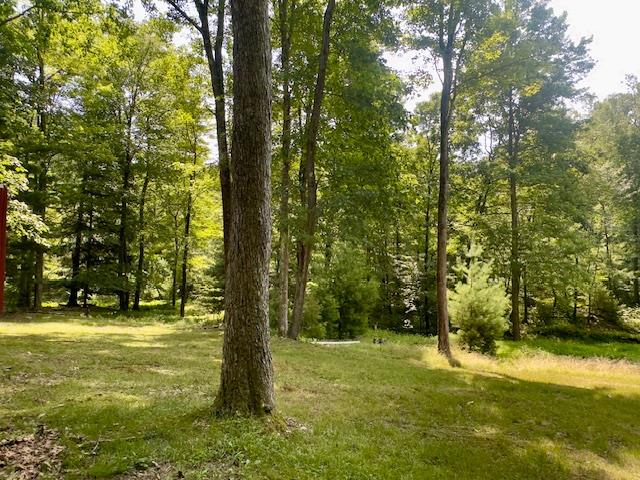 5278 Fisher Strattanville Road Strattanville, PA 16258 - Photo 7 of 20