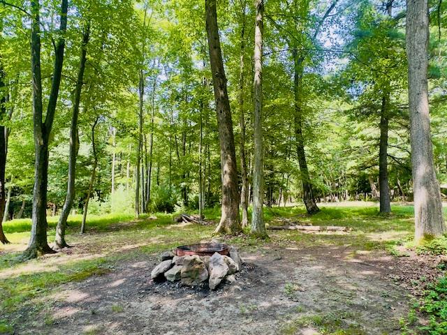 5278 Fisher Strattanville Road Strattanville, PA 16258 - Photo 8 of 20