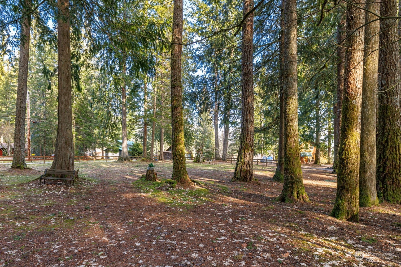 7527 Cemetery Road Maple Falls, WA 98266 - Photo 38 of 40 a backyard of a house with large trees