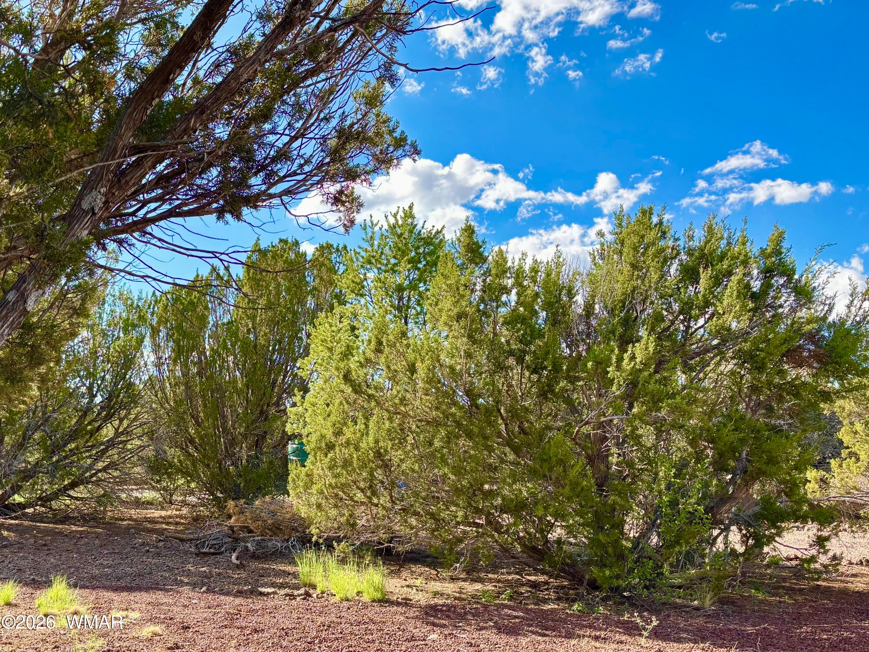 29 Co Road Show Low, AZ 85901 - Photo 7 of 23 Gallery Image 7