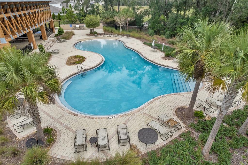 3737 Copperspring Boulevard New Port Richey, FL 34653 - Photo 58 of 61 a view of a swimming pool with a patio