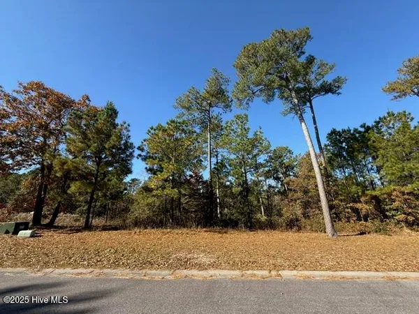 $395,000 | 3864 River Park Way Northeast, Leland, NC 28451