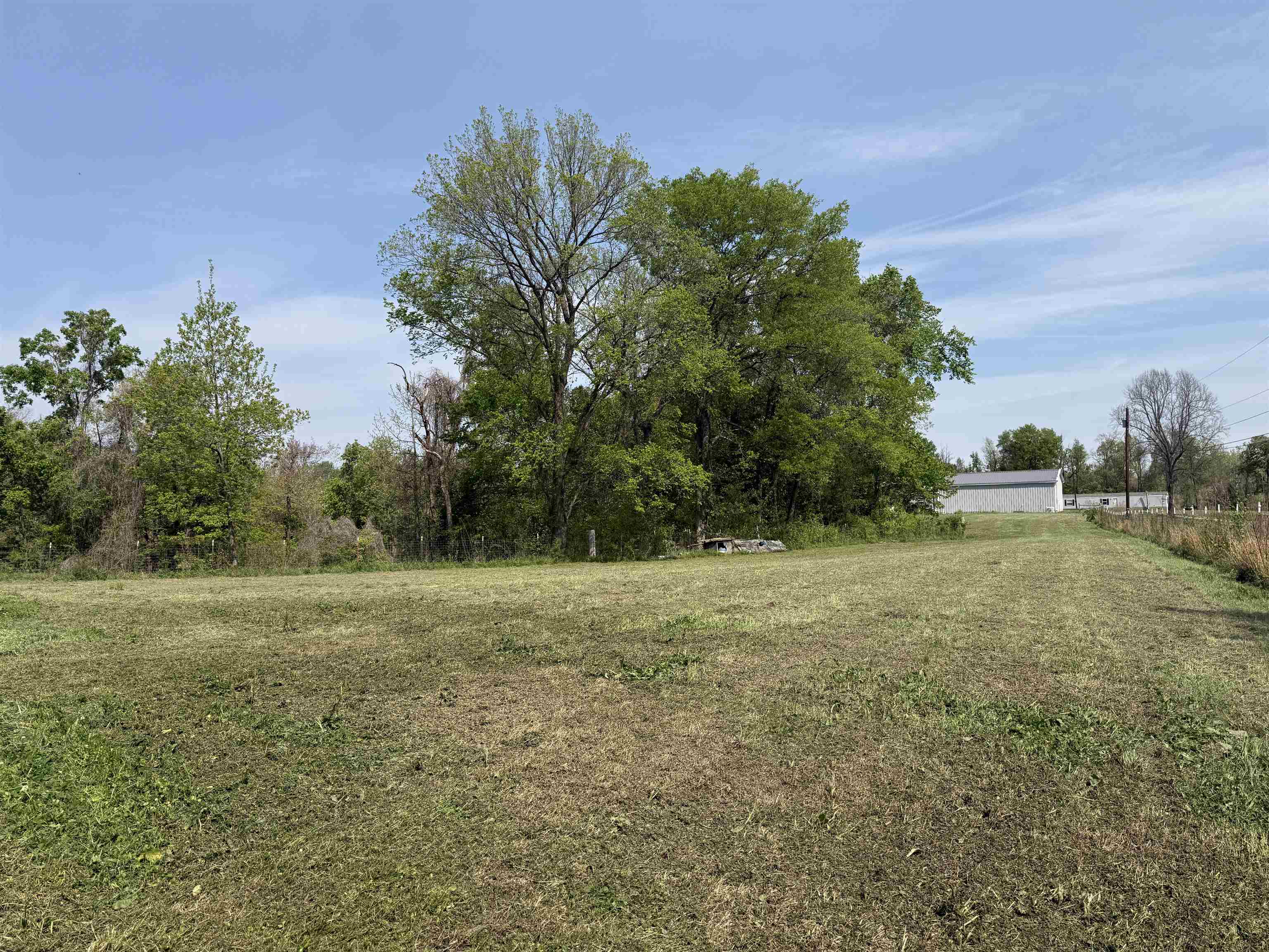 0 Needham Road Drummonds, TN 38023 - Photo 2 of 8