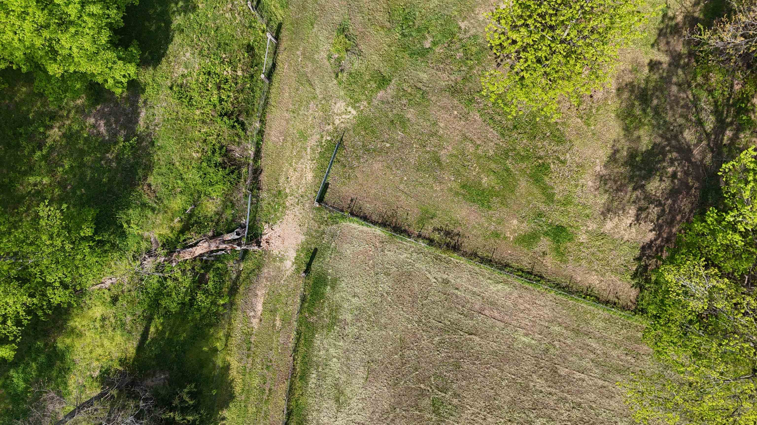 0 Needham Road Drummonds, TN 38023 - Photo 4 of 8