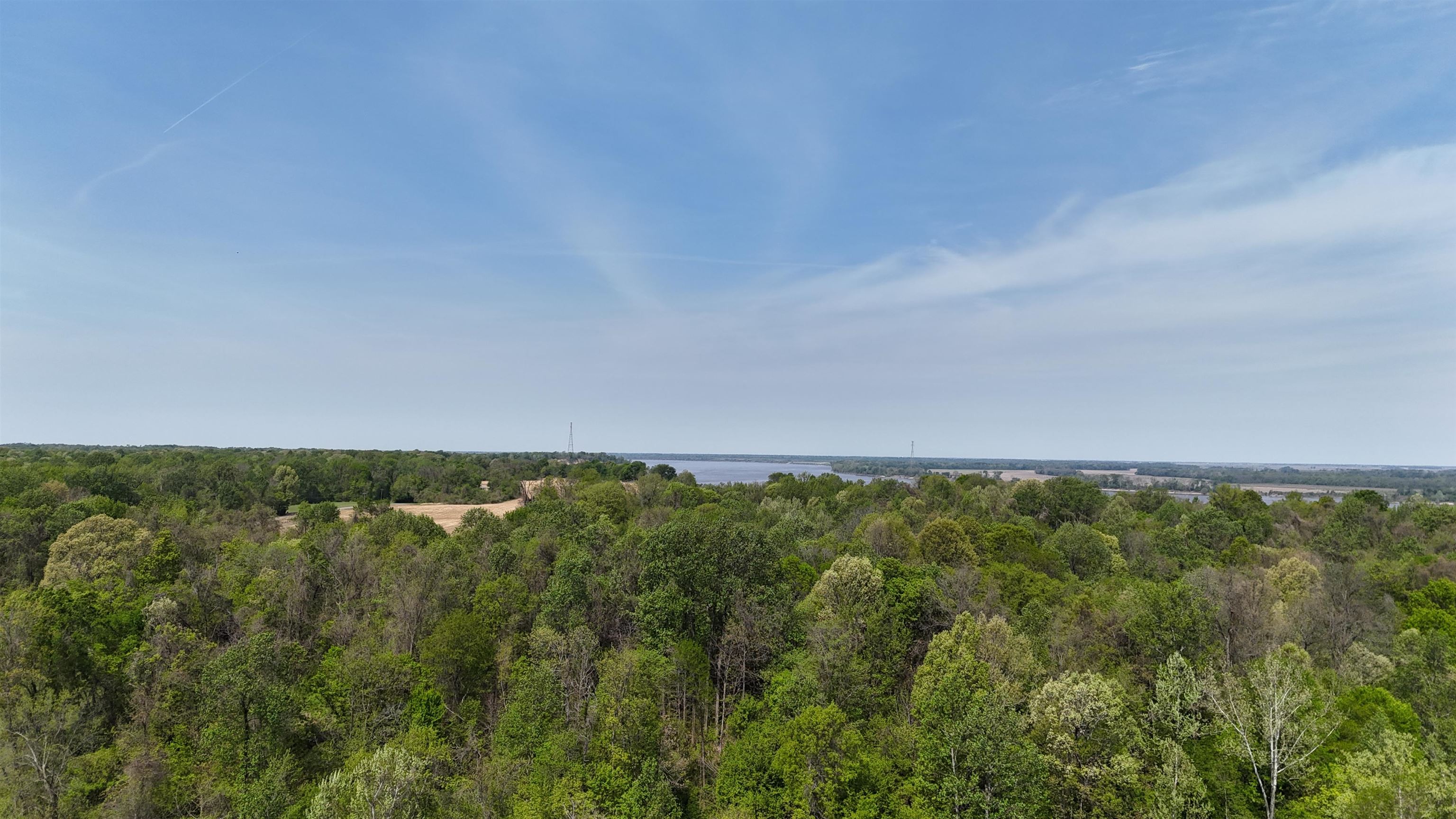 0 Needham Road Drummonds, TN 38023 - Photo 6 of 8