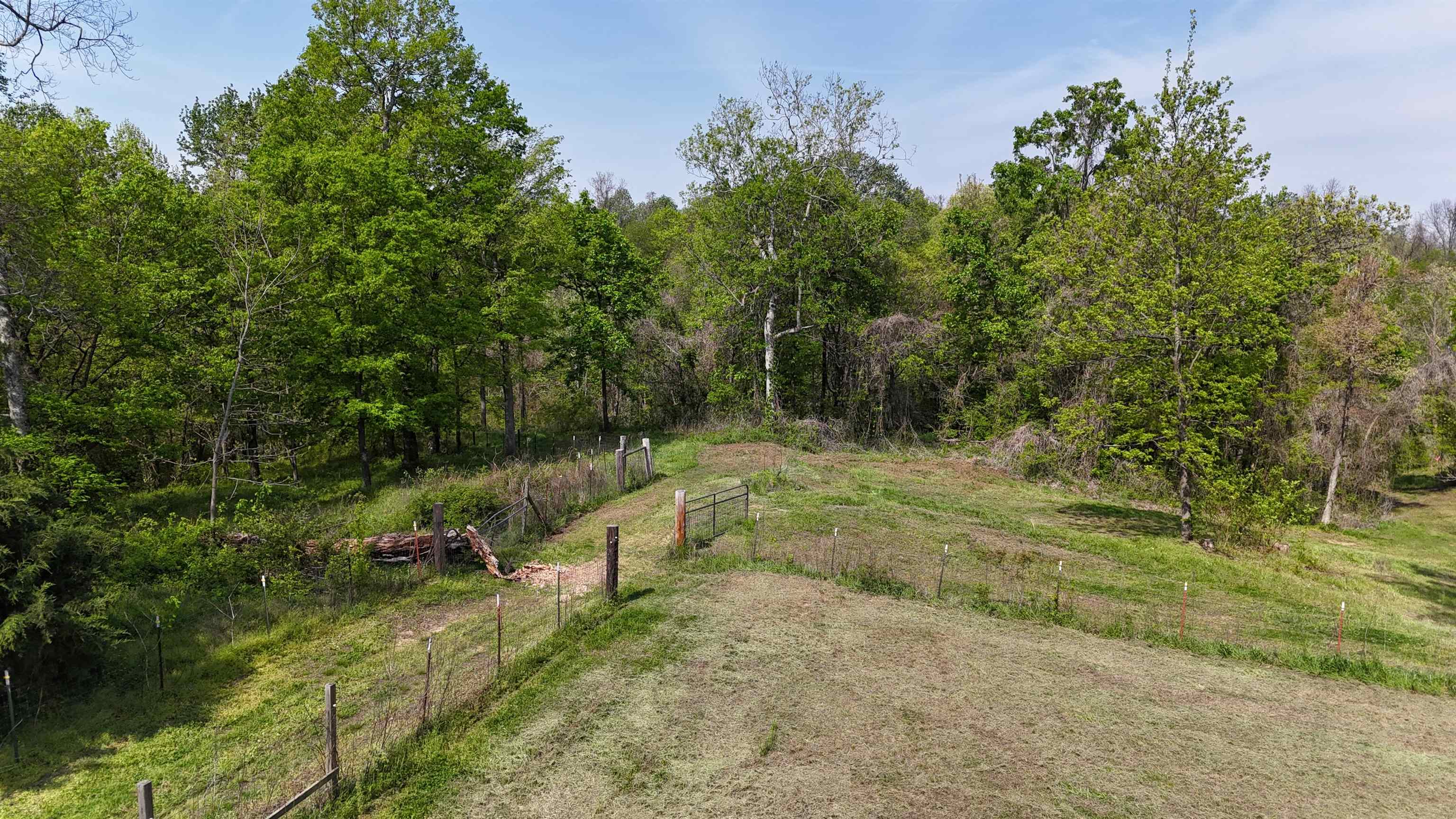 0 Needham Road Drummonds, TN 38023 - Photo 7 of 8