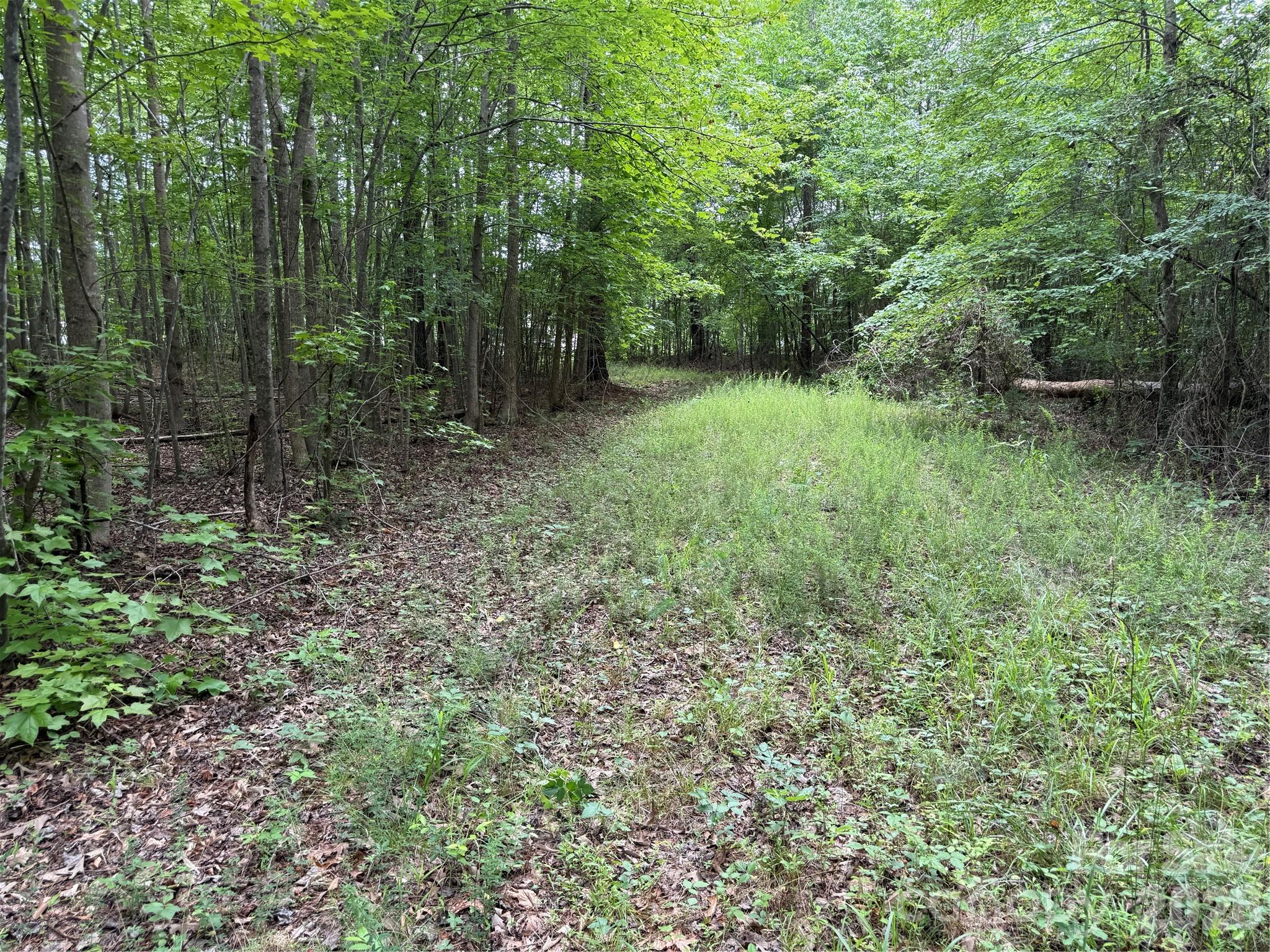 0 Herbert Faucette Road Bullock, NC 27507 - Photo 19 of 40