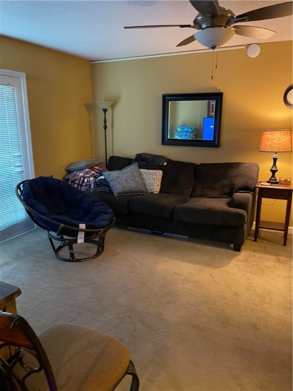 1323 Harts Ridge Drive Seneca, SC 29678 - Photo 5 of 16 Gallery Image 5