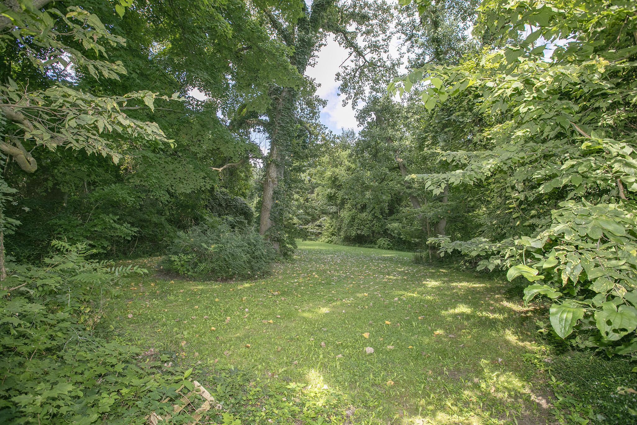 16326 Gardner Road Galien, MI 49113 - Photo 8 of 27 0D6A3986
