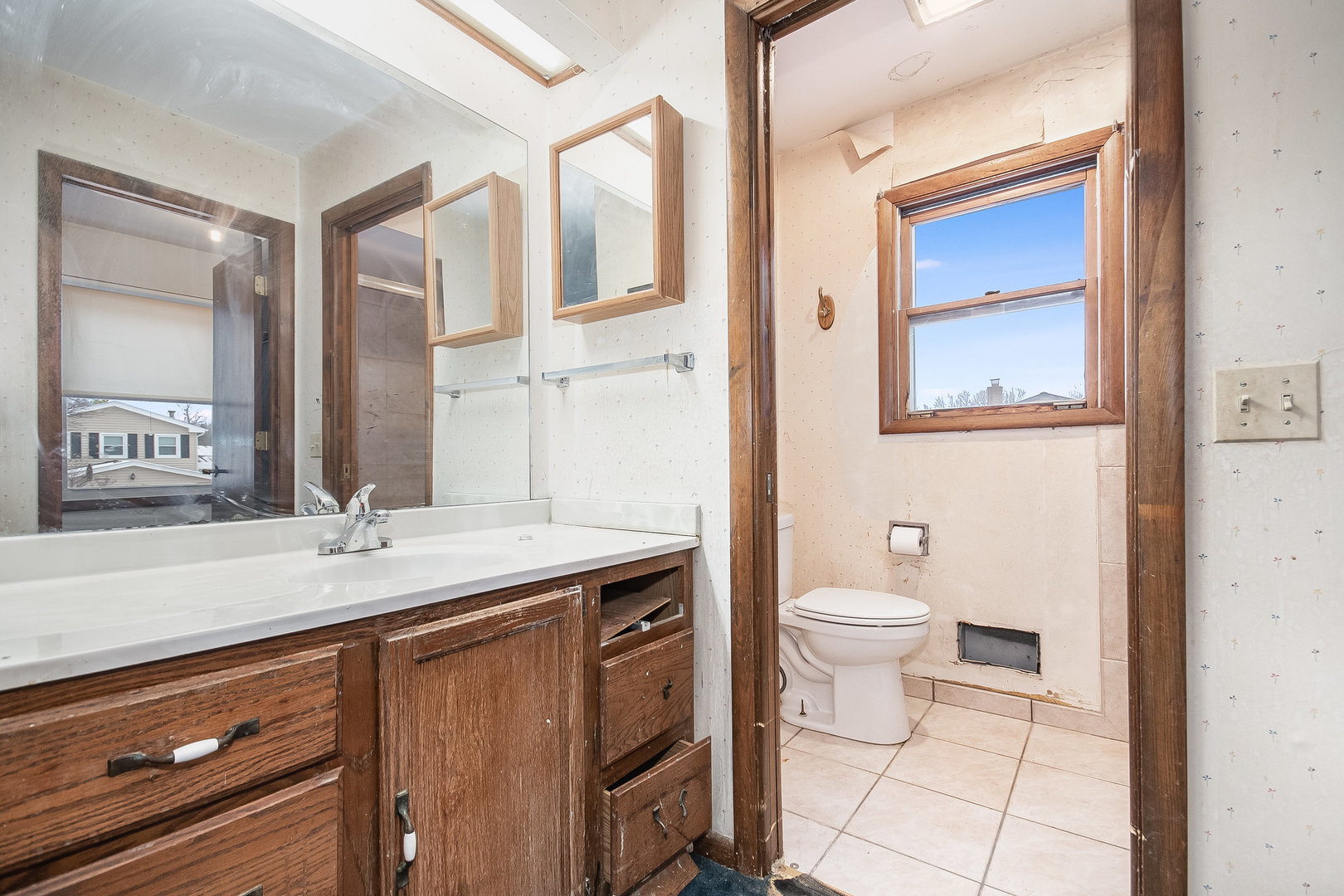 2880 Sun Valley Road Lisle, IL 60532 - Photo 14 of 29 a bathroom with a toilet a sink and mirror