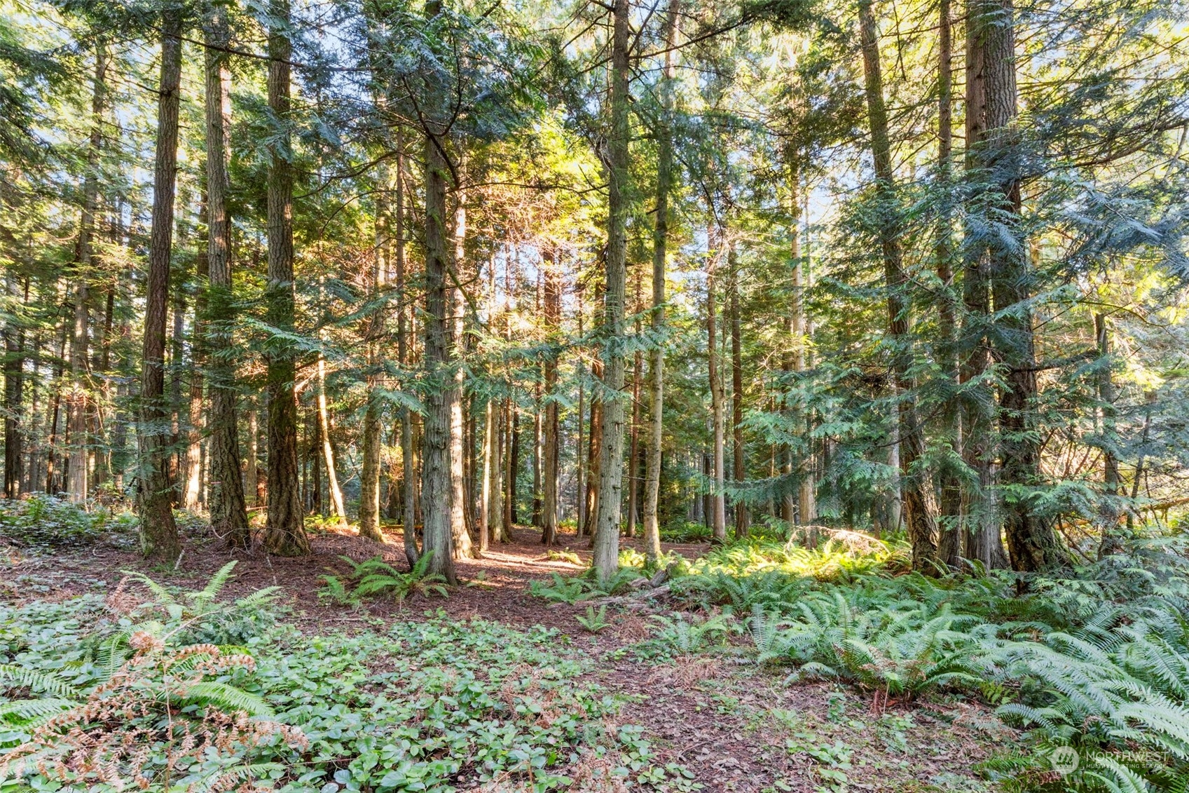 427 Adelma Beach Road Port Townsend, WA 98368 - Photo 32 of 40 Gallery Image 32