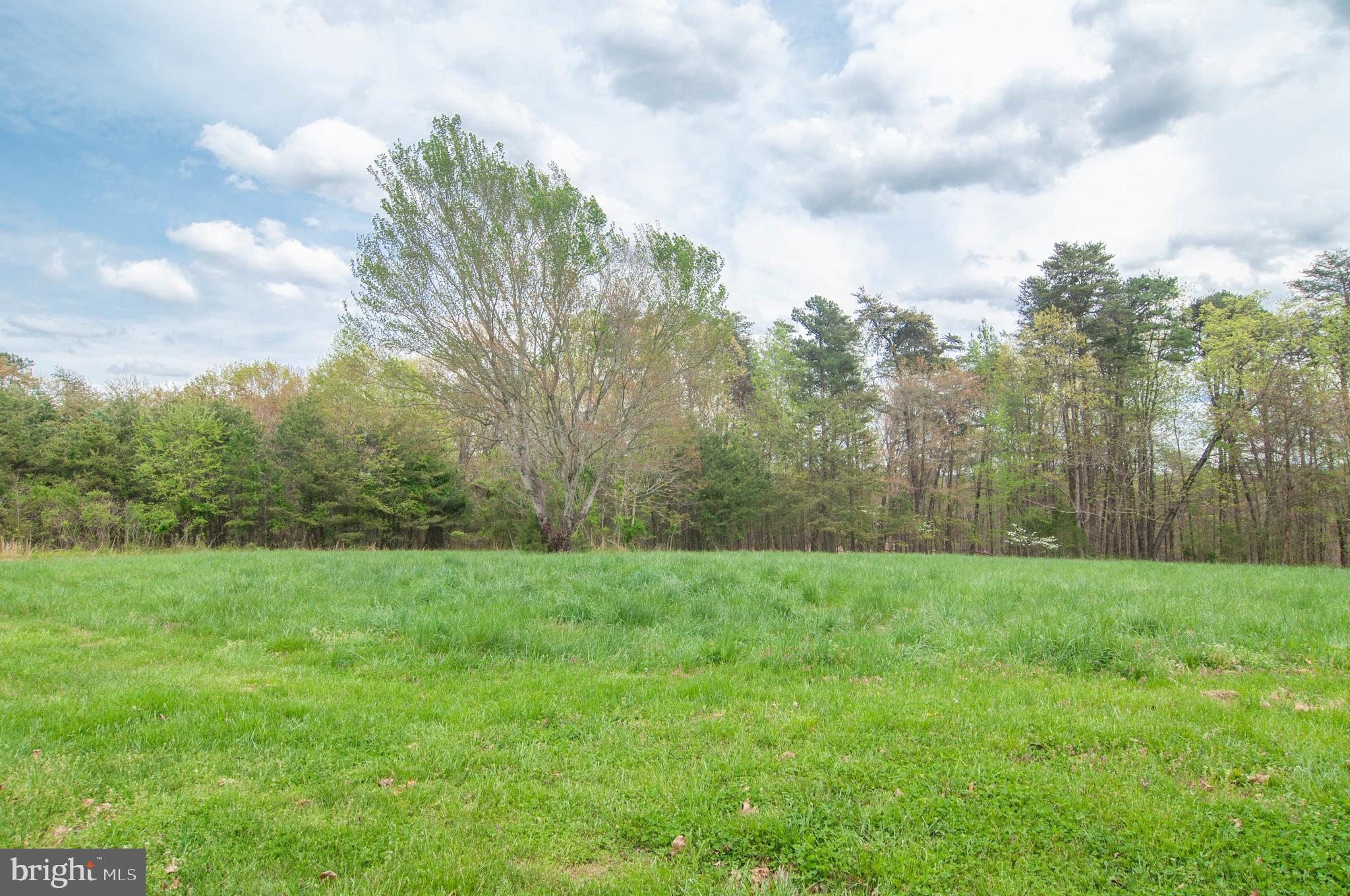 3356 Ridge Road Barboursville, VA 22923 - Photo 36 of 41 Backyard