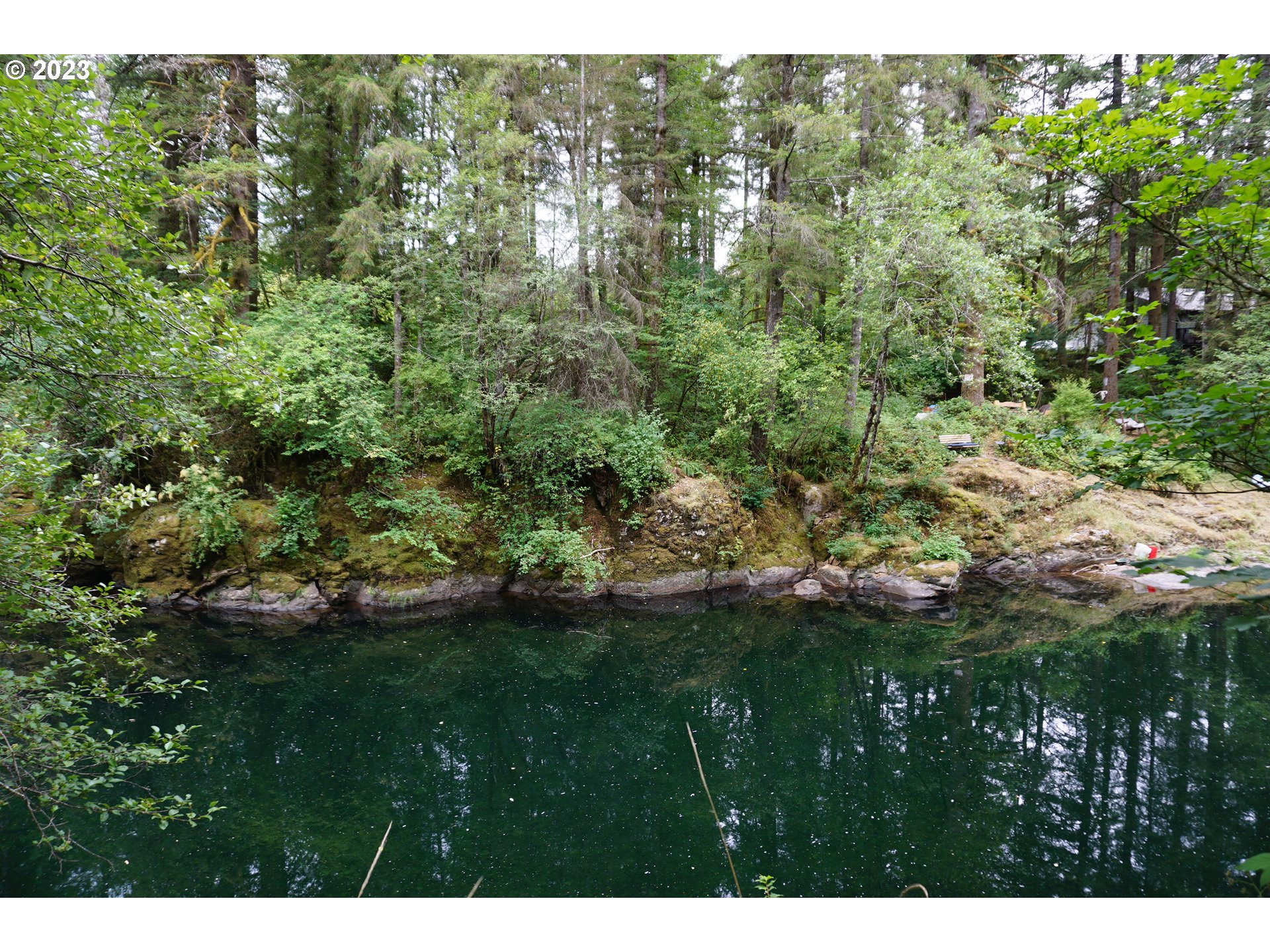 30815 Northeast Sunset Falls Road Yacolt, WA 98675 - Photo 1 of 14 a view of a lush green forest with trees and some houses