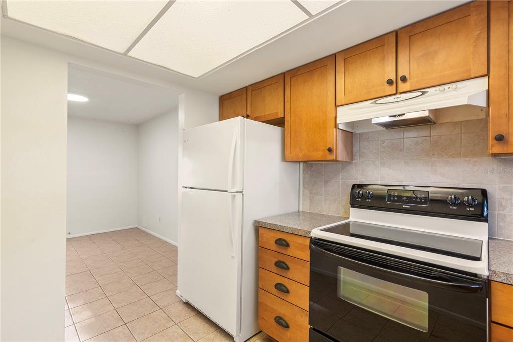 1248 Lazy Lake Road West Dunedin, FL 34698 - Photo 3 of 20