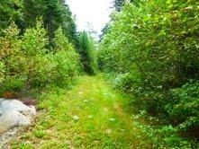270 Saco Road Columbia Falls, ME 04623 - Photo 17 of 22 Land.