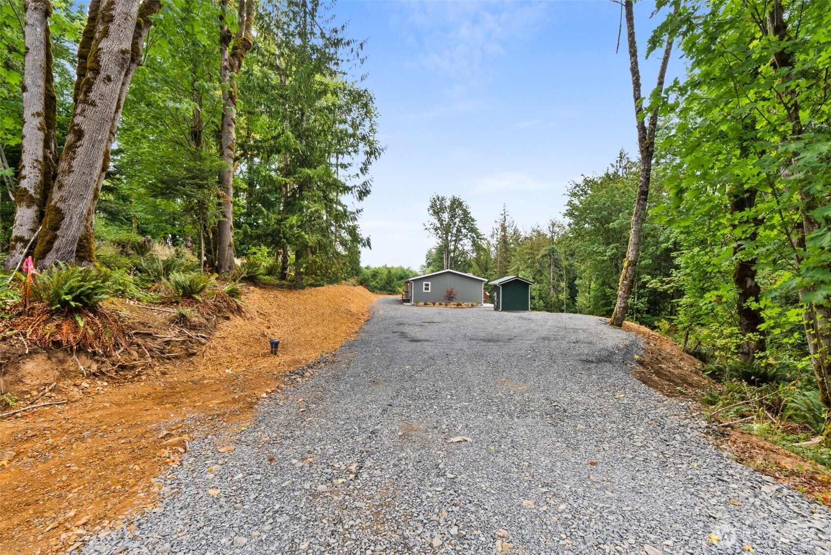 241 Pascoe Avenue Chehalis, WA 98532 - Photo 4 of 33 a view of a yard with plants and trees