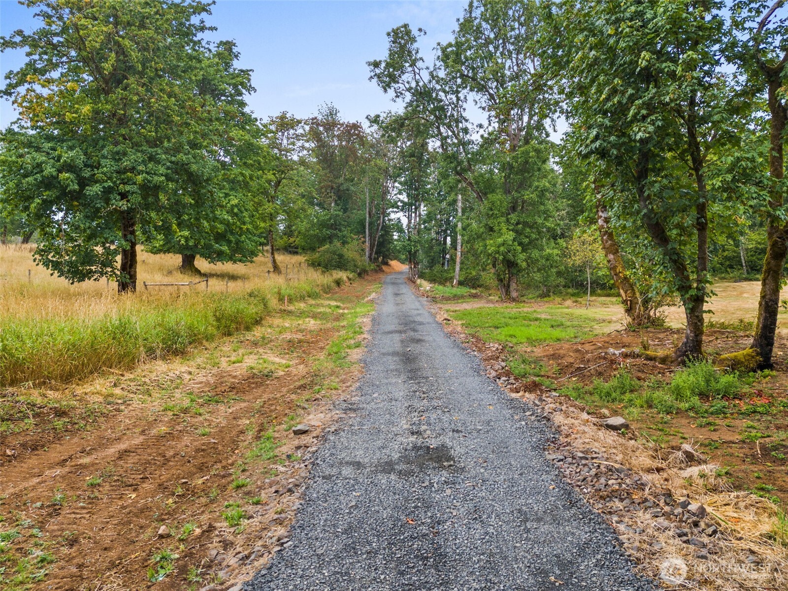 241 Pascoe Avenue Chehalis, WA 98532 - Photo 5 of 33 a view of a yard with plants and trees