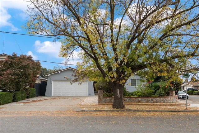 a tree in front of a white house