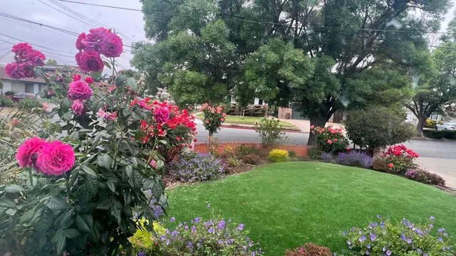 a view of lobby with a yard