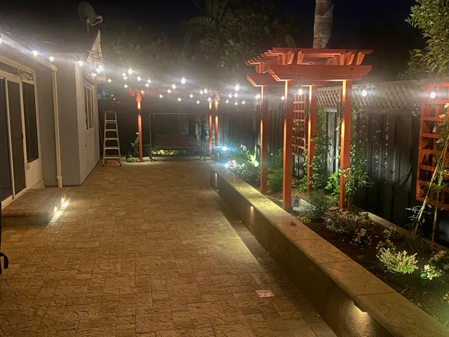 a view of a tree with plants