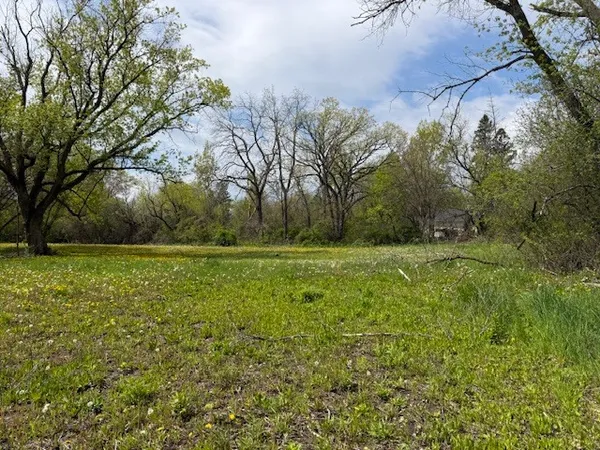 a view of outdoor space with trees all around